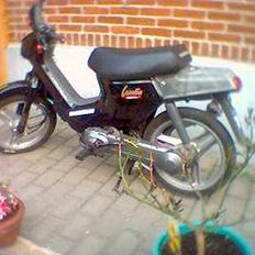 Honda Wallaroo