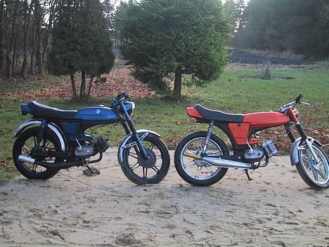 Puch                     Monza billede 8