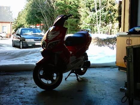 Peugeot Speedfight 206 WRC (Solgt billede 1