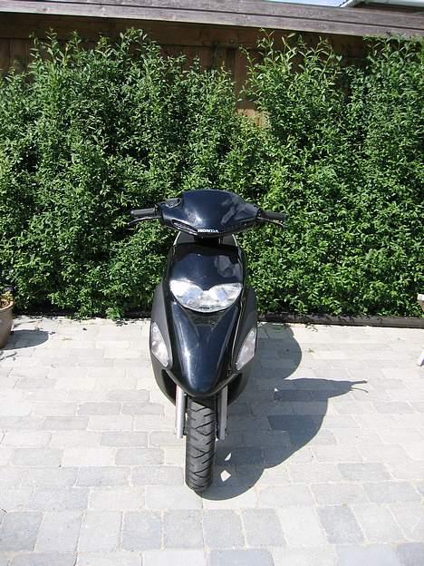 Honda SFX byttet til jog - Hondaen forfra billede 2