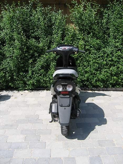 Honda SFX byttet til jog - Hondaen bagfra... billede 3