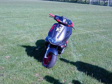 Gilera Runner billede 1