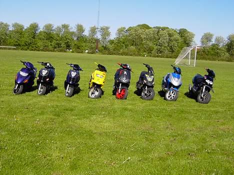 Kreidler Easy Rider billede 7