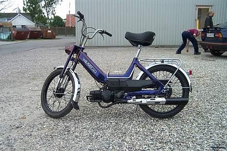 Puch maxi-harlequin billede 1