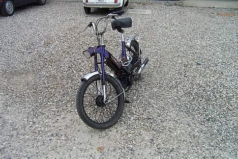 Puch maxi-harlequin billede 2