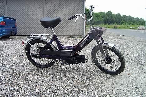 Puch maxi-harlequin billede 3