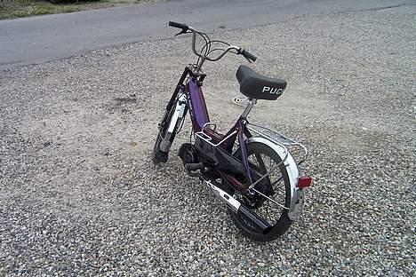 Puch maxi-harlequin billede 5