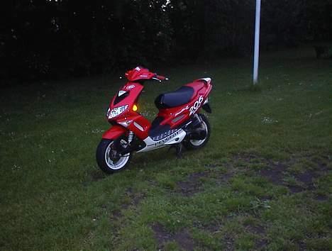 Peugeot SpeedFight 2 WRC Racing billede 1