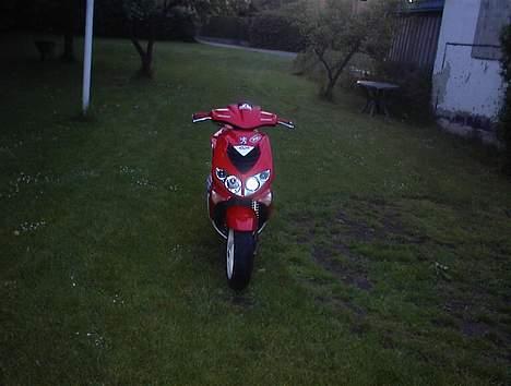 Peugeot SpeedFight 2 WRC Racing billede 2