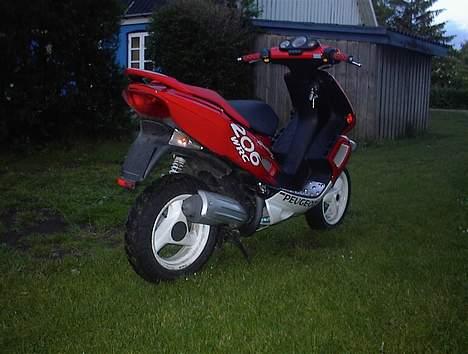 Peugeot SpeedFight 2 WRC Racing billede 3