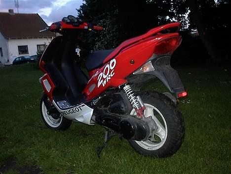 Peugeot SpeedFight 2 WRC Racing billede 4