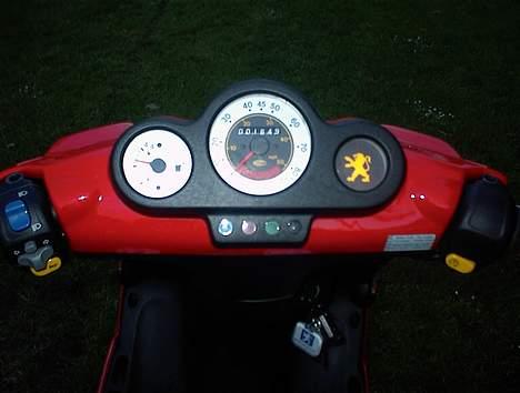 Peugeot SpeedFight 2 WRC Racing billede 5