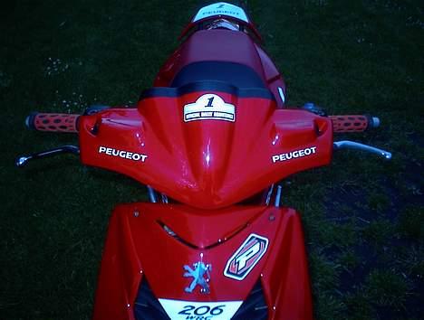 Peugeot SpeedFight 2 WRC Racing billede 6