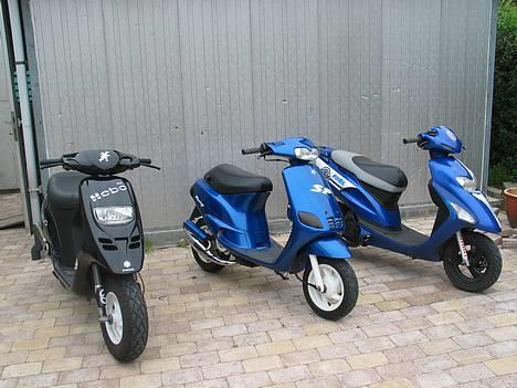 Honda SFX - her er 2 af mine kammi´s scoots som også er på SG :D billede 9