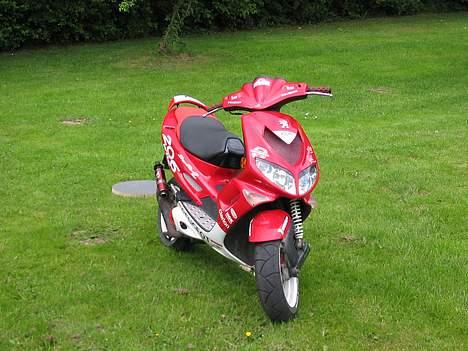 Peugeot speedfight2 wrc billede 2