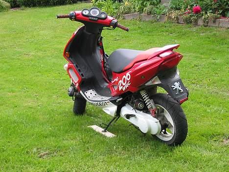 Peugeot speedfight2 wrc billede 4