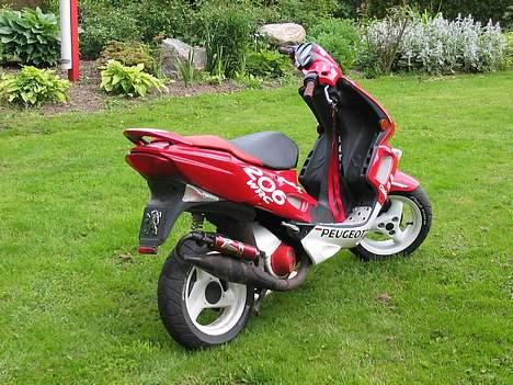 Peugeot speedfight2 wrc billede 6