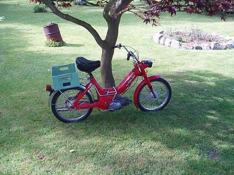 Puch Maxi K billede 2