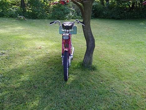 Puch Maxi K billede 4