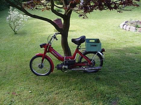Puch Maxi K billede 7