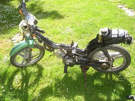 Honda Wallaroo (SOLGT) billede 1