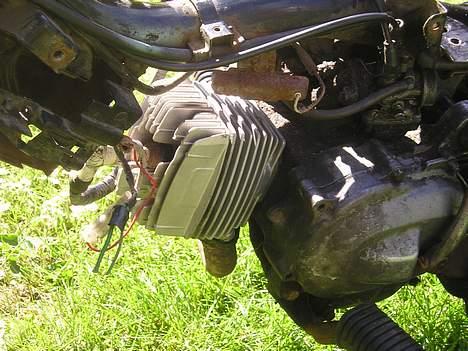 Honda Wallaroo (SOLGT) billede 2