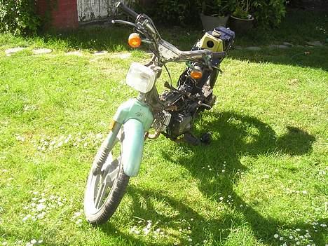 Honda Wallaroo (SOLGT) billede 3