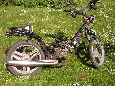 Honda Wallaroo (SOLGT) billede 4