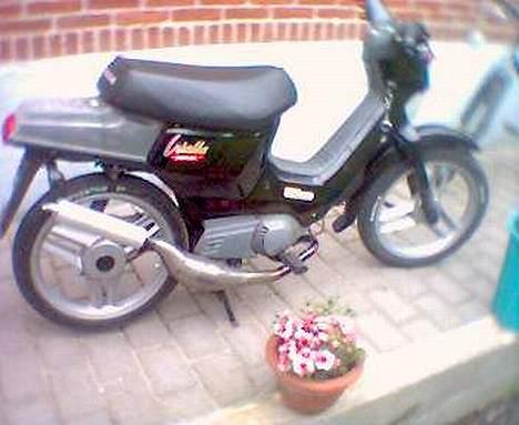 Honda Wallaroo billede 1