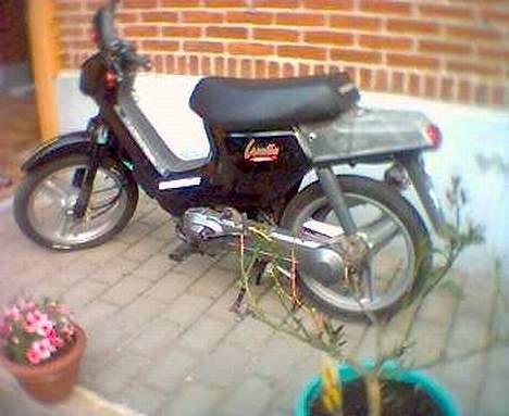 Honda Wallaroo billede 3