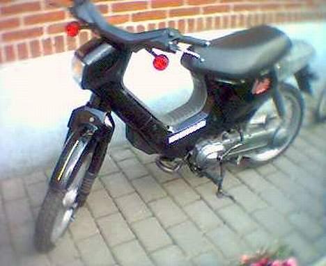 Honda Wallaroo billede 6