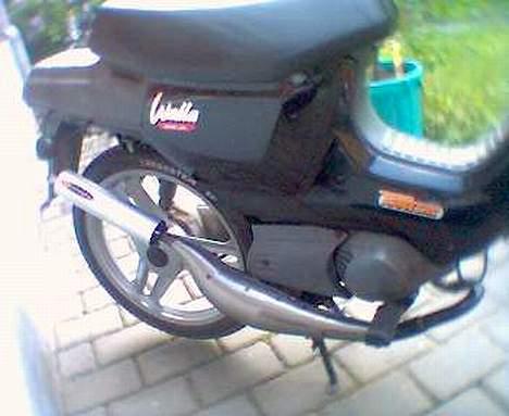 Honda Wallaroo billede 5