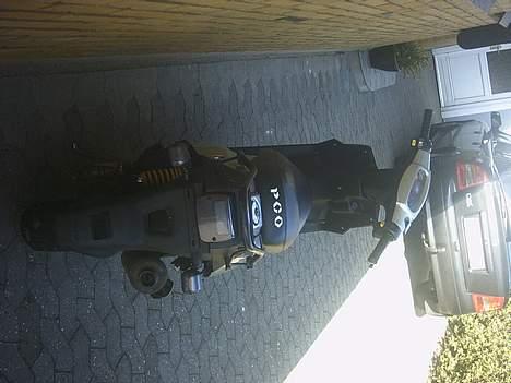 PGO hot 50 solgt.. billede 2