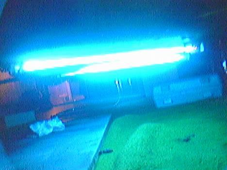 Aprilia sonic solgt billede 3