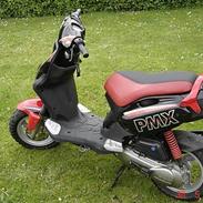 PGO PMX sport