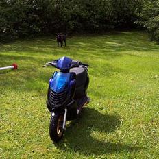 Aprilia Sonic //Den blevet væk//