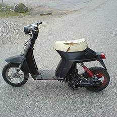 Honda mini comet - SOLGT