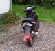 Aprilia Sonic GP - Tilbage.. :D