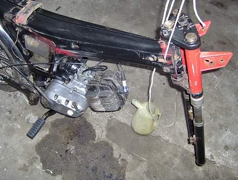 Puch                     Monza billede 4