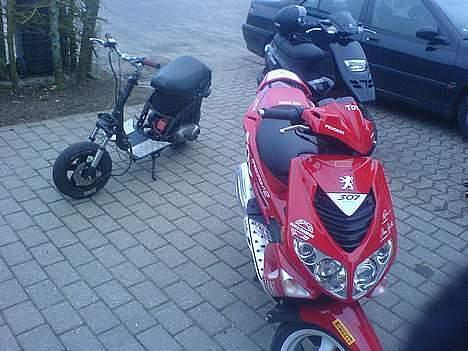 Piaggio New Zip (Rat Bike) solgt - kalles, chans og min scooter.! få minutter inden jeg røg bagover.. AV! billede 13