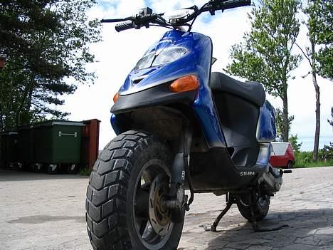 Gilera [Fie] | SOLGT | - (>] Frø billedet [<) billede 7