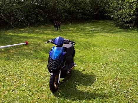 Aprilia Sonic //Den blevet væk// - Før projektet gik rigtig igang billede 1