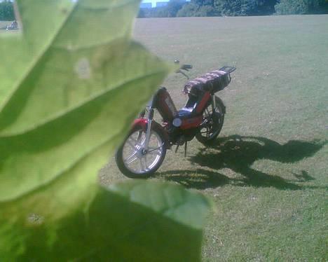 Gizmo hero billede 1