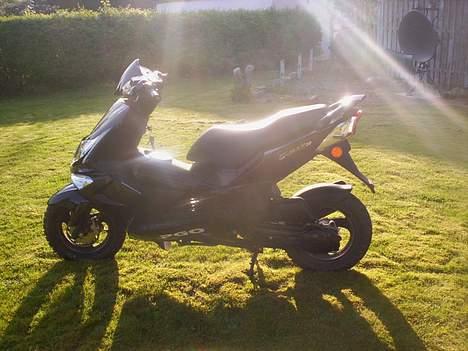 PGO G-max 30 billede 1