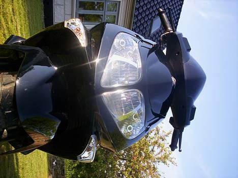 PGO G-max 30 billede 15