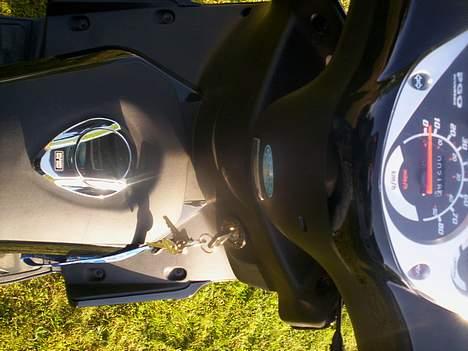 PGO G-max 30 billede 16