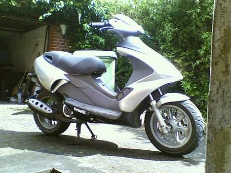 Benelli 491 ST billede 2