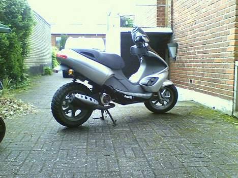 Benelli 491 ST billede 5