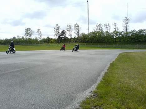 Beta ARK lc dd solgt - moi til skive træf  billede 3