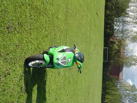 Piaggio NRG billede 5